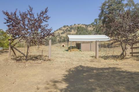 45748 Longview Rd, Squaw Valley, CA 93675 photo 46