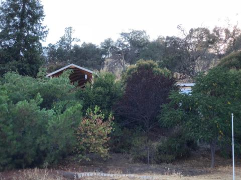 38361 Roundtree Ln, Squaw Valley, CA 93675 photo 22