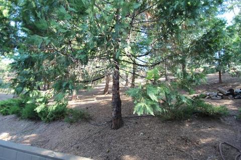 1264 Bourbon Dr, Springville, CA 93265 photo 7