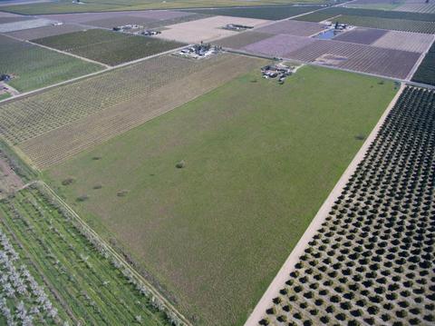 39087 Rd 96, Dinuba, CA 93618 photo 32