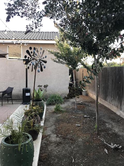 1349 E Dorothea Ave, Visalia, CA 93292 photo 44