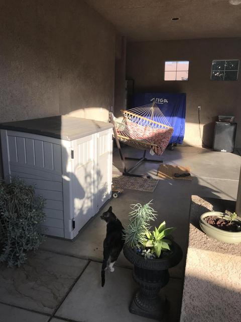 1349 E Dorothea Ave, Visalia, CA 93292 photo 42