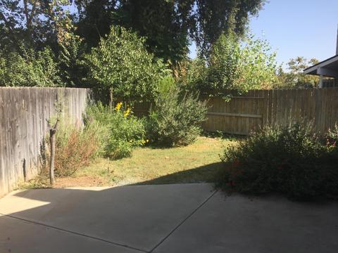 1638 E Sunnyview Ave, Visalia, CA 93292 photo 20
