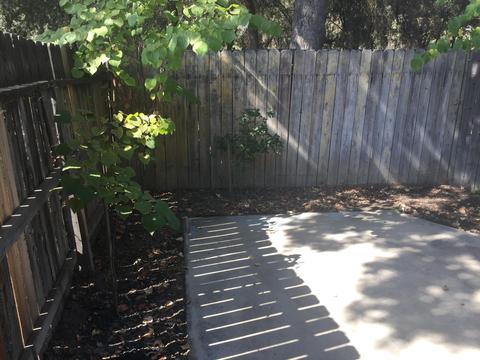 1638 E Sunnyview Ave, Visalia, CA 93292 photo 18