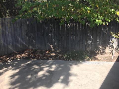 1638 E Sunnyview Ave, Visalia, CA 93292 photo 19
