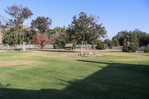 31695 Fritz Dr, Exeter, CA 93221 photo 11
