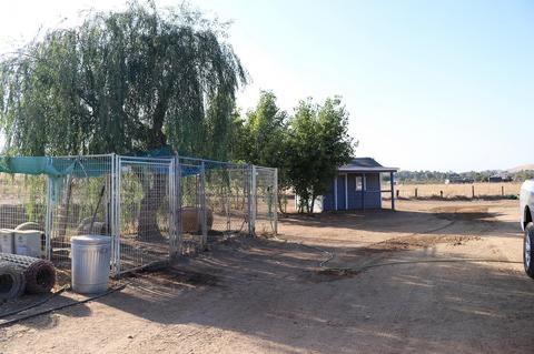 31695 Fritz Dr, Exeter, CA 93221 photo 18