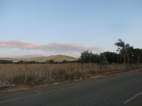 20416 Rd 256, Strathmore, CA 93267 photo 8