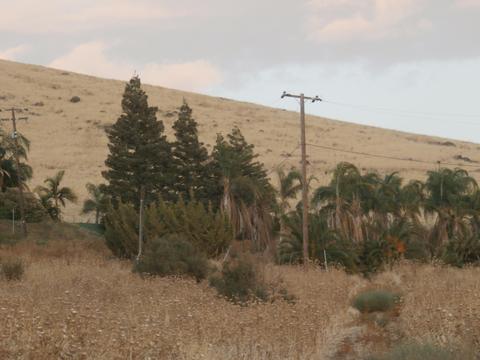 20416 Rd 256, Strathmore, CA 93267 photo 7