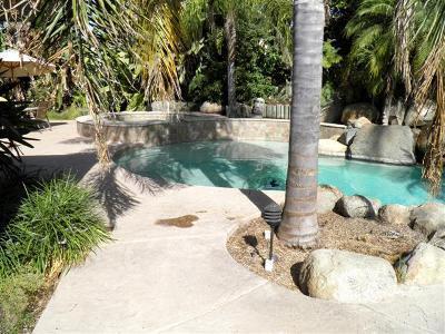 20416 Rd 256, Strathmore, CA 93267 photo 14