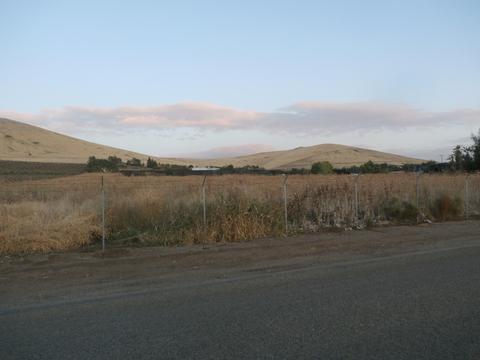 20416 Rd 256, Strathmore, CA 93267 photo 9