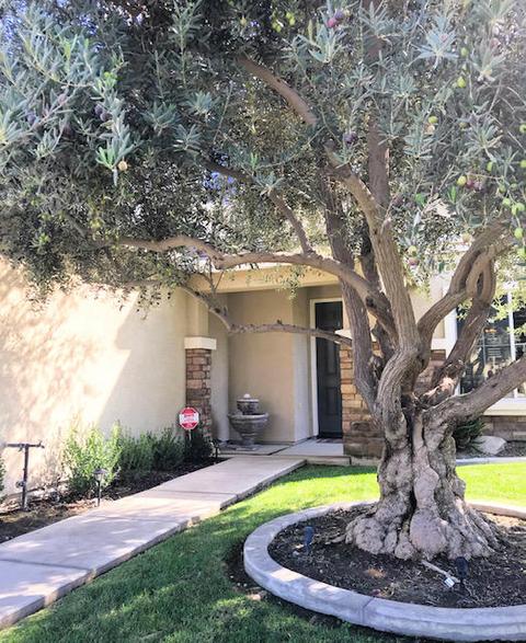 348 Campbell Ct, Tulare, CA 93274 photo 2