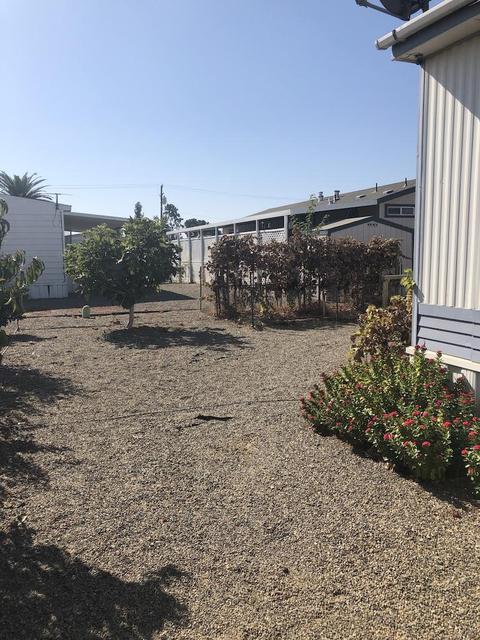314 N Albert #40, Exeter, CA 93221 photo 4