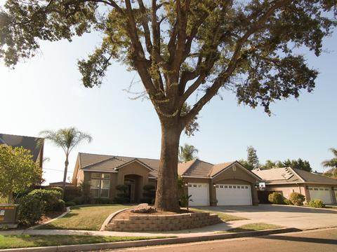 740 Sherwood St, Exeter, CA 93221 photo 49
