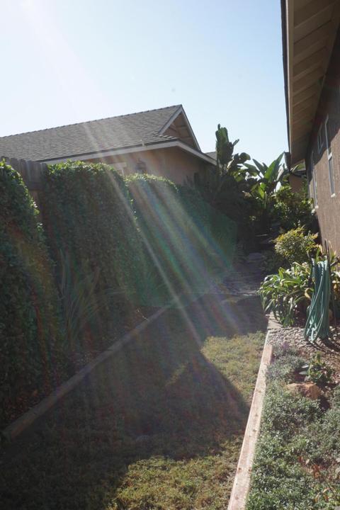 492 Edgewater St, Tulare, CA 93274 photo 17