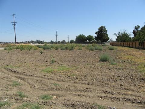 3699 E Noble Ave, Visalia, CA 93292 photo 3