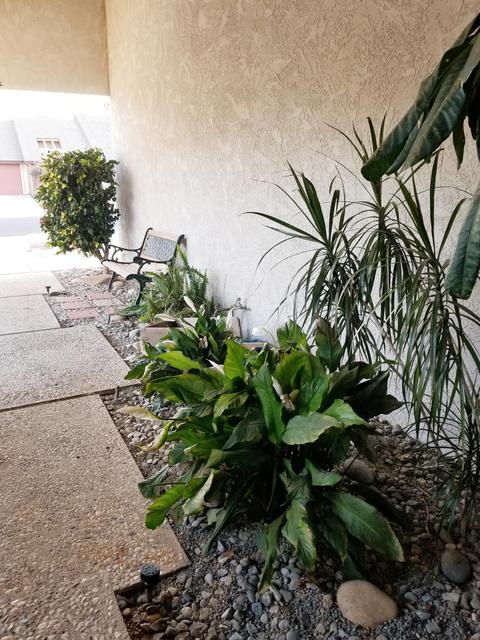 1530 E Avila Dr, Tulare, CA 93274 photo 8