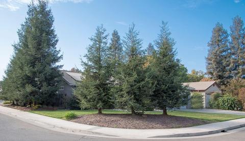 4223 E Laurel Ave, Visalia, CA 93292 photo 2