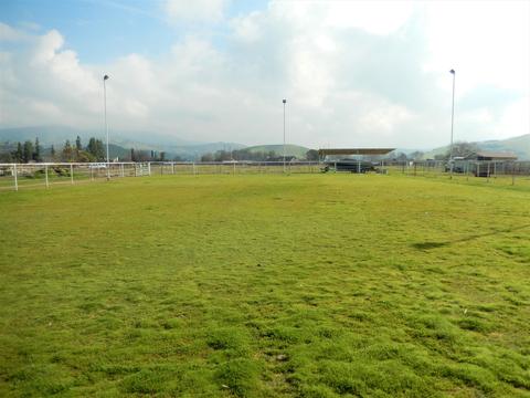 30738 Hill Dr, Exeter, CA 93221 photo 41