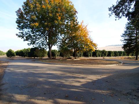 21302 Avenue 296, Exeter, CA 93221 photo 11