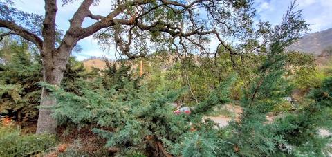 42281 Mynatt Dr, Three Rivers, CA 93271 photo 18