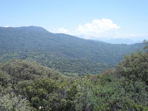 51272 Hogback Rd, Badger, CA 93603 photo 20
