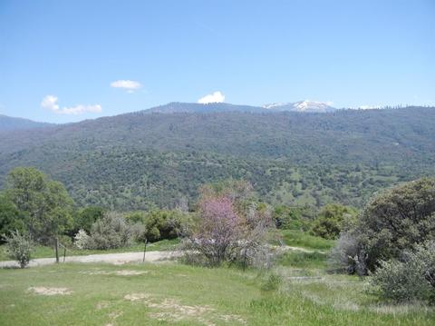 51272 Hogback Rd, Badger, CA 93603 photo 18
