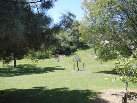 51272 Hogback Rd, Badger, CA 93603 photo 14