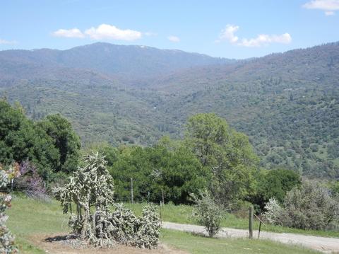 51272 Hogback Rd, Badger, CA 93603 photo 19