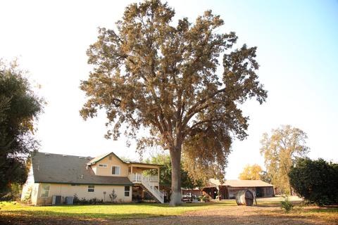 2327 N Anderson Rd, Exeter, CA 93221 photo 43