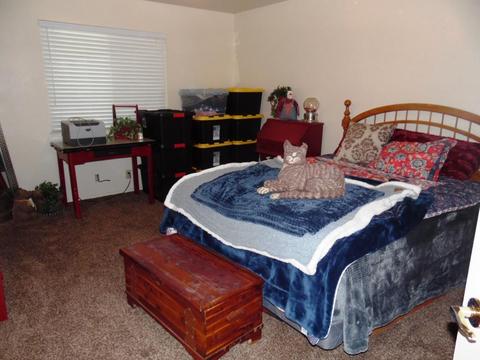 1832 S Peppertree St, Visalia, CA 93277 photo 24