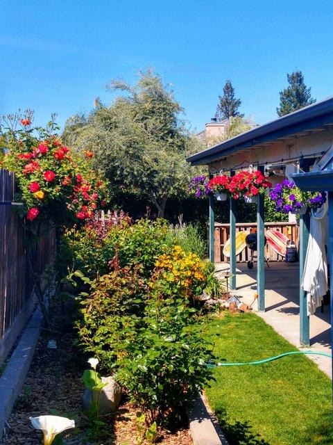 1987 E Bridger Ave, Tulare, CA 93274 photo 39