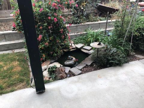 1987 E Bridger Ave, Tulare, CA 93274 photo 33