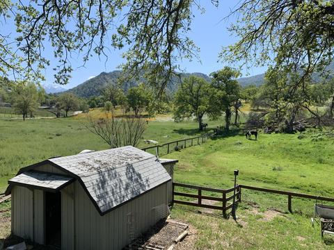 40718 Old Three Rivers Rd, Three Rivers, CA 93271 photo 71