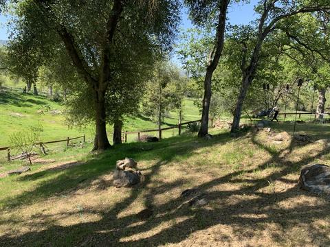 40718 Old Three Rivers Rd, Three Rivers, CA 93271 photo 68