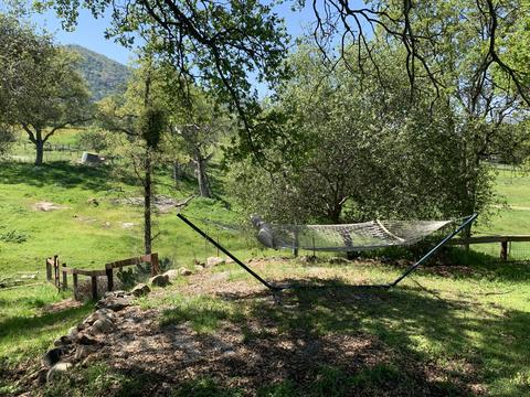 40718 Old Three Rivers Rd, Three Rivers, CA 93271 photo 63
