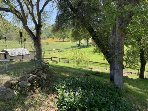 40718 Old Three Rivers Rd, Three Rivers, CA 93271 photo 61