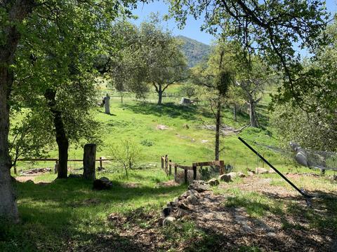 40718 Old Three Rivers Rd, Three Rivers, CA 93271 photo 62