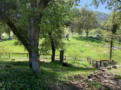 40718 Old Three Rivers Rd, Three Rivers, CA 93271 photo 59
