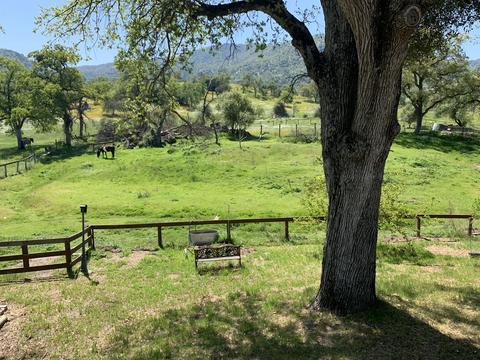 40718 Old Three Rivers Rd, Three Rivers, CA 93271 photo 69