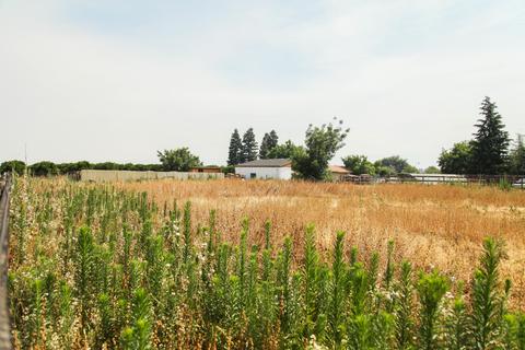 1536 W Marinette, Exeter, CA 93221 photo 81