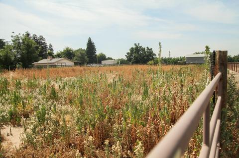 1536 W Marinette, Exeter, CA 93221 photo 78
