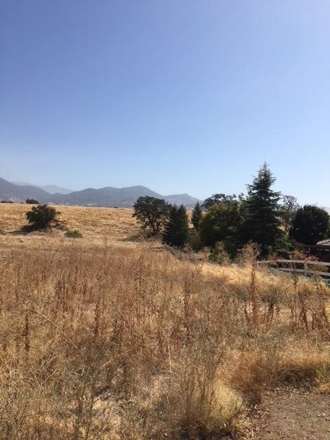 22304 Mariposa Rd, Tehachapi, CA 93561 photo 1
