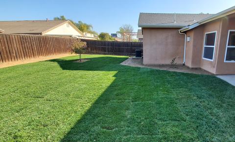 1447 Florence Ave, Dinuba, CA 93618 photo 21