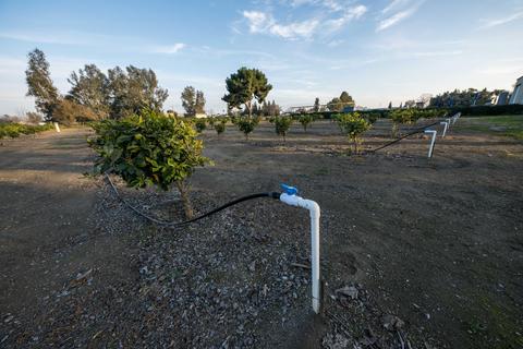 320 Morrison St, Tulare, CA 93274 photo 12