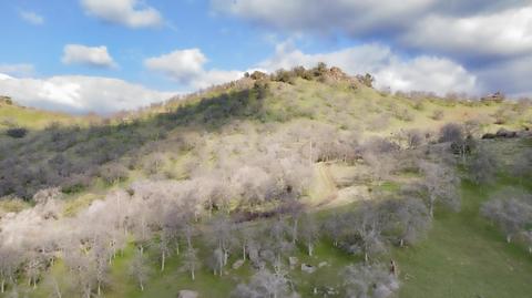45694 Longview Rd, Squaw Valley, CA 93675 photo 48