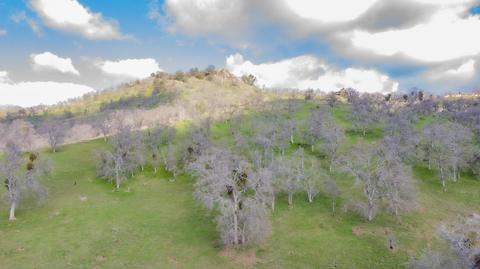 45694 Longview Rd, Squaw Valley, CA 93675 photo 47