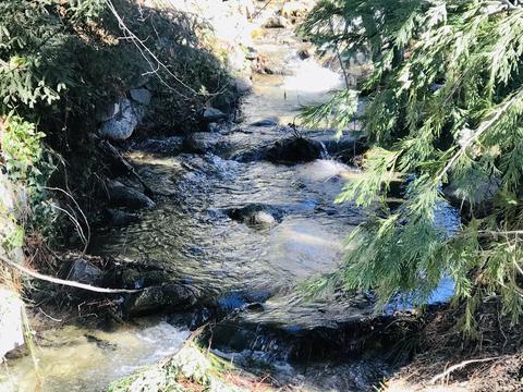 44216 Old Stage Rd, Posey, CA 93260 photo 28