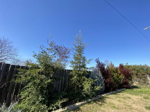 21607 Avenue 304, Exeter, CA 93221 photo 31