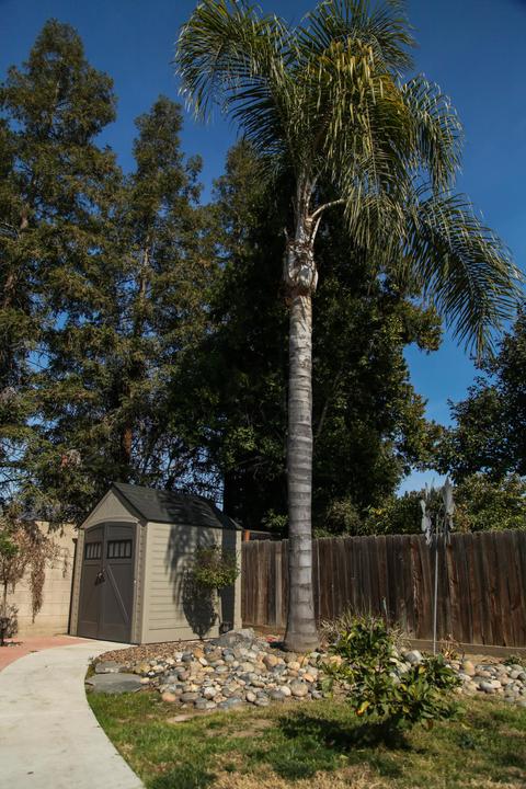 2420 E Seeger Ave, Visalia, CA 93292 photo 51